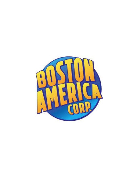 Boston American Corp.