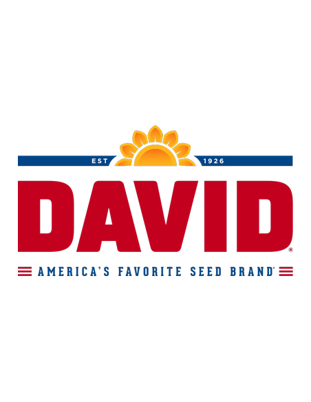 David Seeds