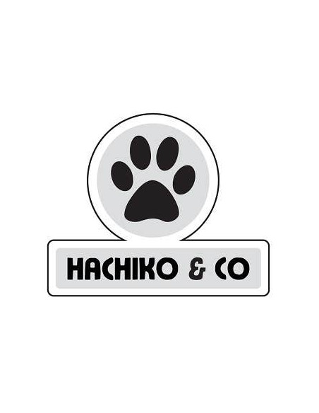 Hachiko and Co
