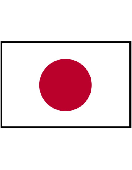 Japanese food