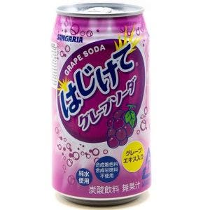 SANGARIA HAJIKETE SODA RAISIN